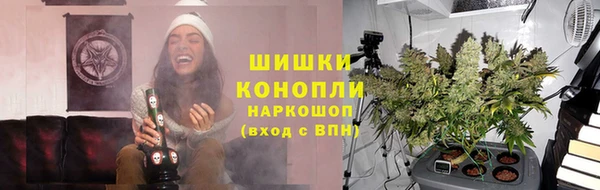 хмурый Горняк