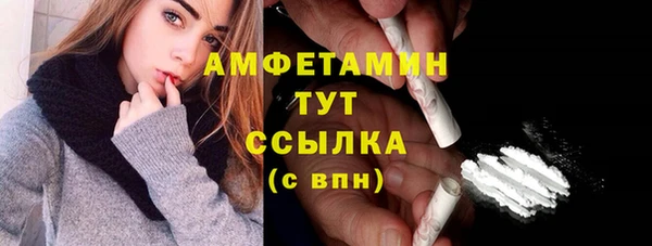 хмурый Горняк