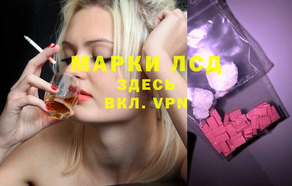спиды Горнозаводск