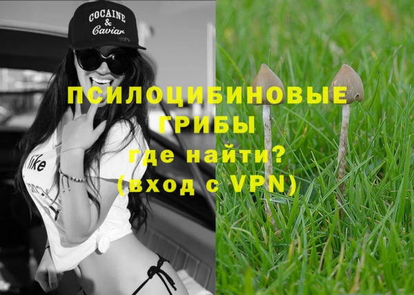 спиды Горнозаводск