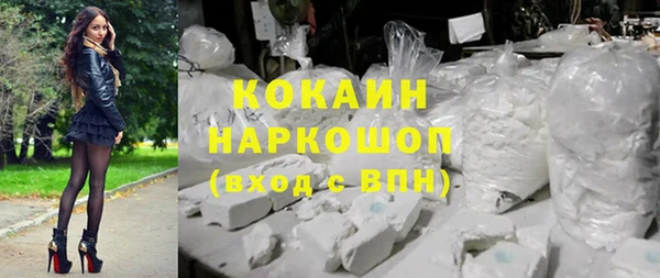 хмурый Горняк