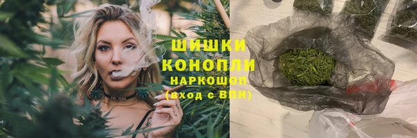 амф Гусиноозёрск