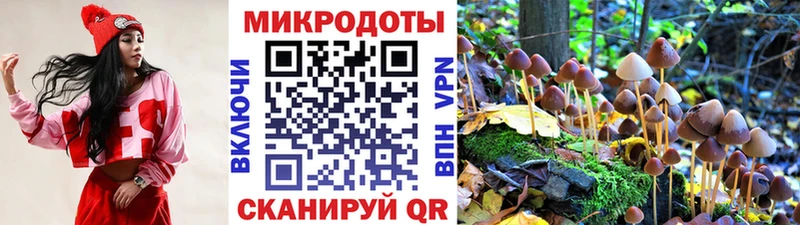 Купить закладки Белорецк Галлюциногенные грибы Psilocybe